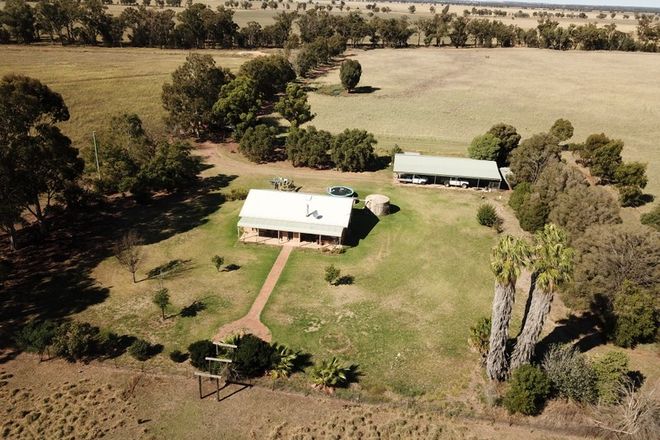 Picture of 'Elva Grange' 223 Ellis Road, GILGANDRA NSW 2827