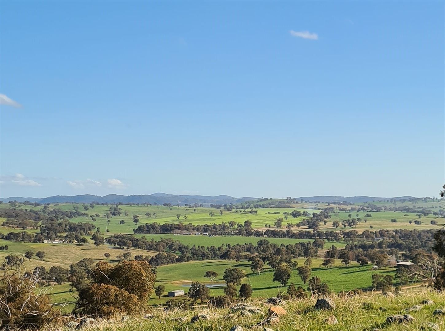 Salt Clay Road, Cootamundra NSW 2590, Image 1