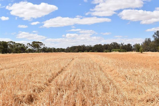 Picture of ' Baileys ', WOODANILLING WA 6316