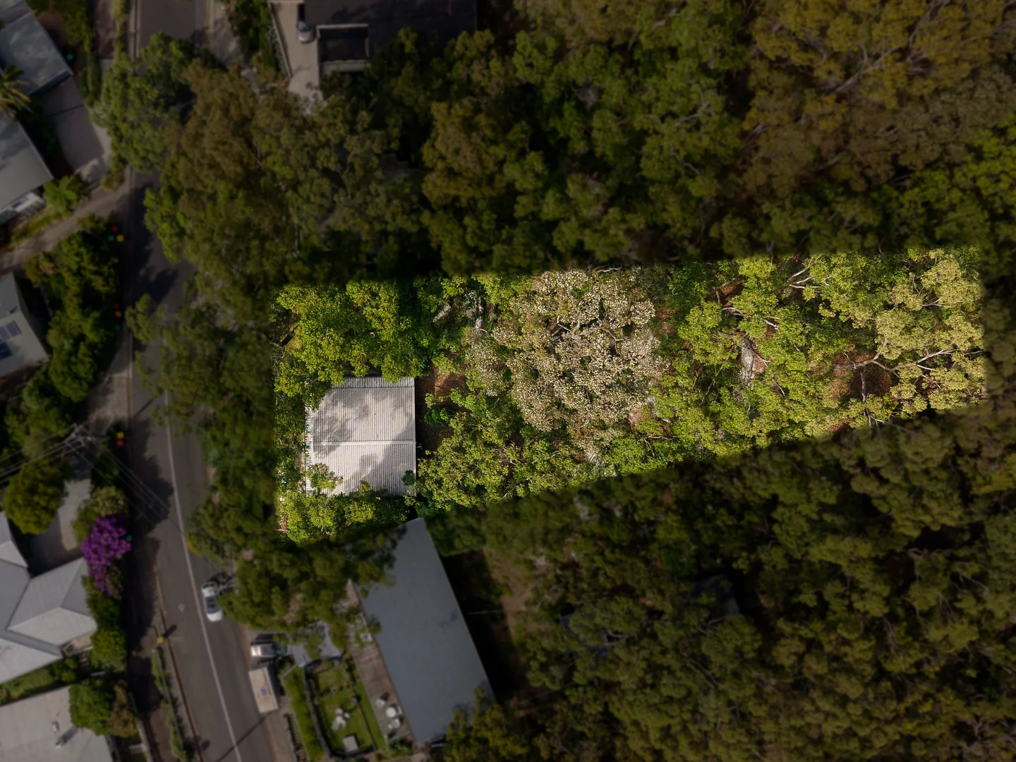 Additional image 22 of 70 Heath Road, Hardys Bay NSW 2257