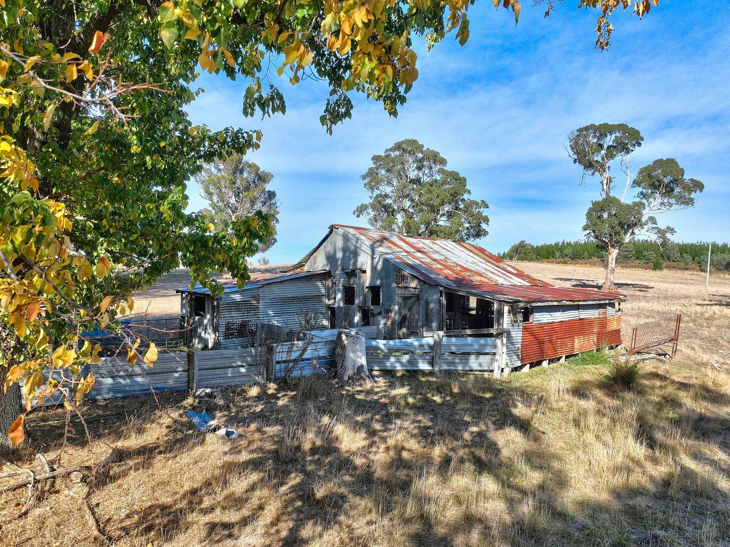 Image 10