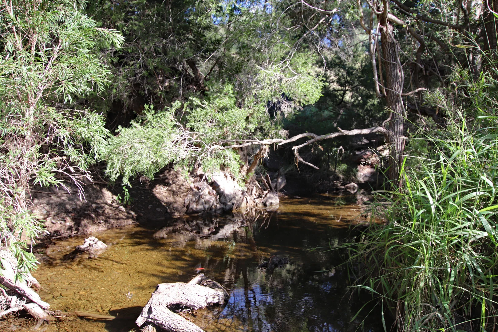 Additional image 6 of "Scrubview" Frawleys Road, Thangool QLD 4716