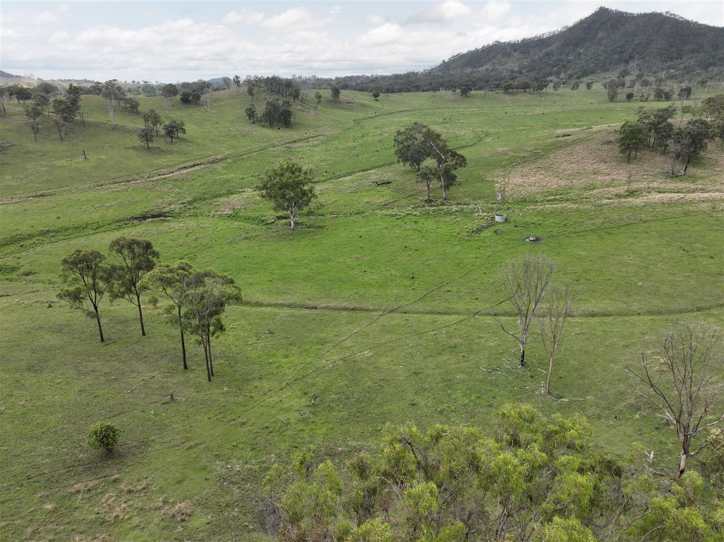 Calliope QLD 4680, Image 0