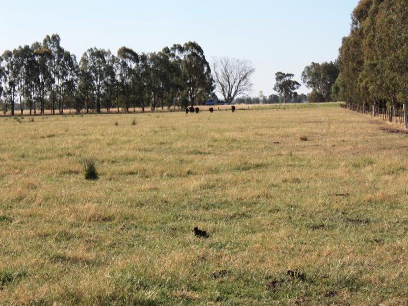 Lot 0 Coach Road, Winton VIC 3673, Image 2