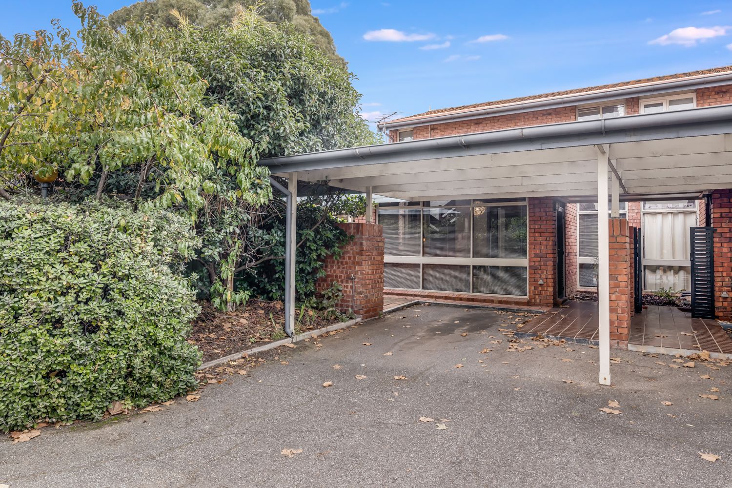 3/305 Portrush Road, Norwood SA 5067, Image 0