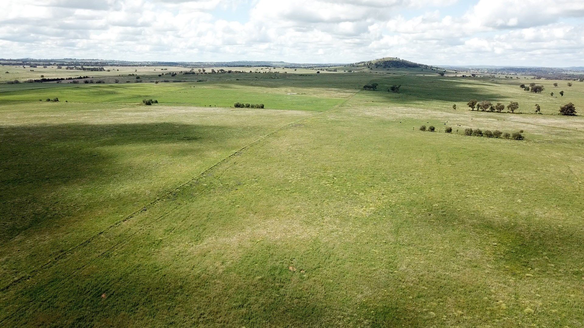 'West Waugoola' Old Dubbo Road, Geurie NSW 2818, Image 0