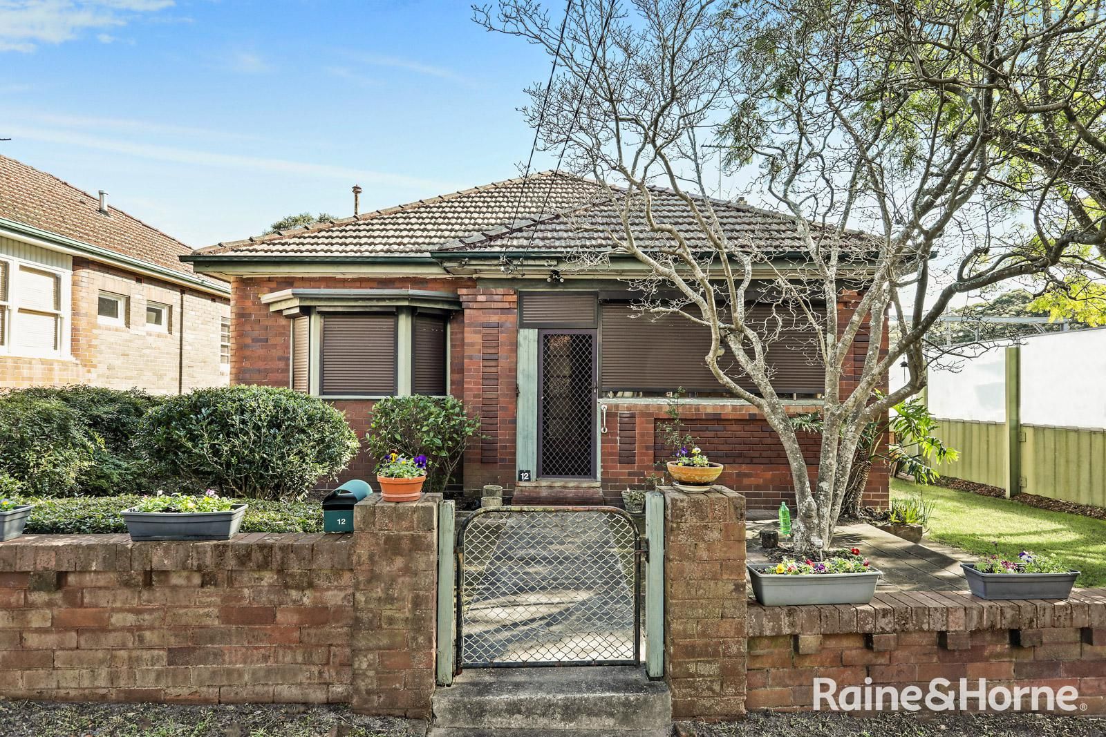 12 Water Street, Bardwell Park NSW 2207, Image 0