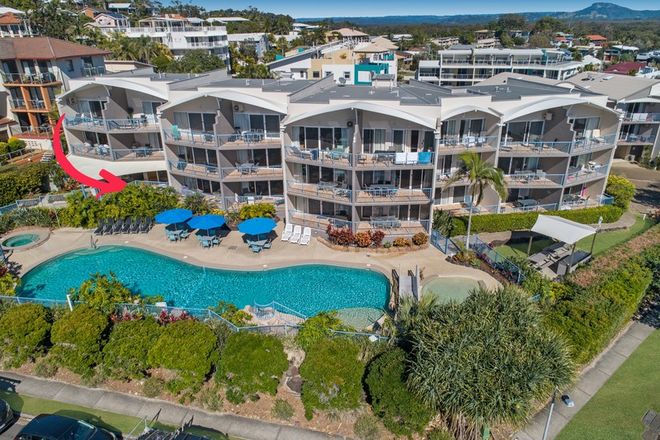 Picture of 15/9 - 21 Frank Street, COOLUM BEACH QLD 4573