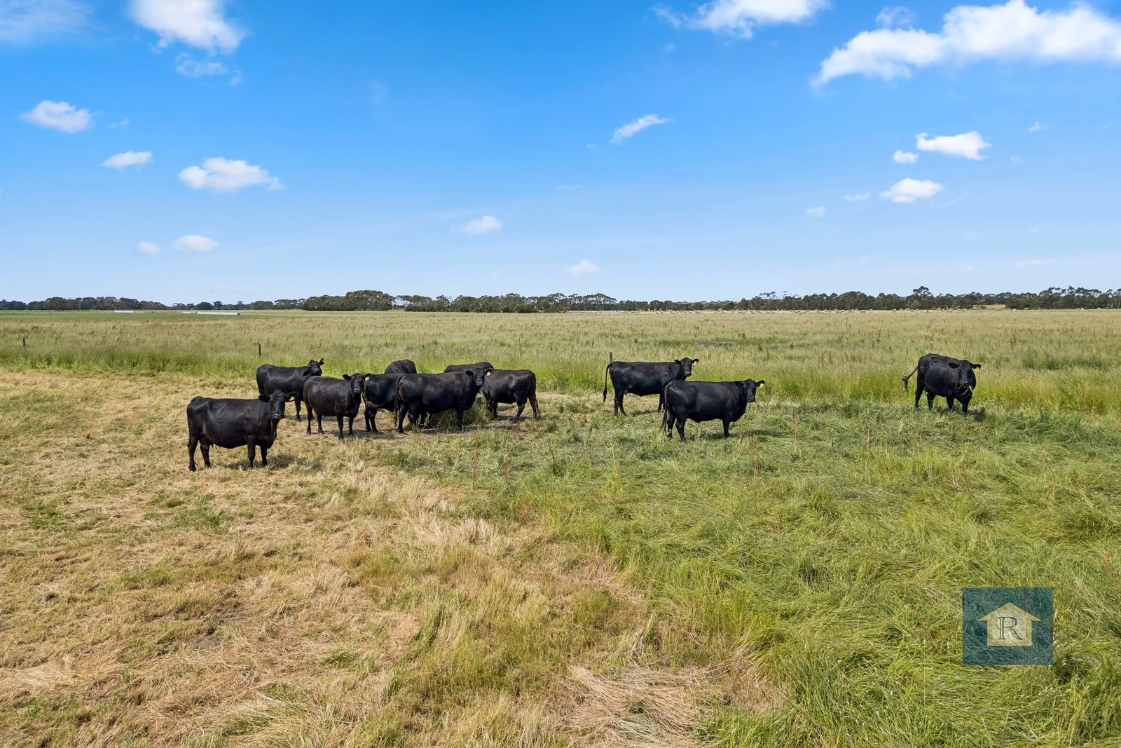 Additional image 8 of 280 Crabbes Road, Irrewillipe VIC 3249