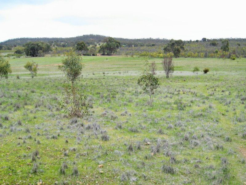 Lot 1 Wedderburn-Wychitella Road, Buckrabanyule VIC 3525, Image 1