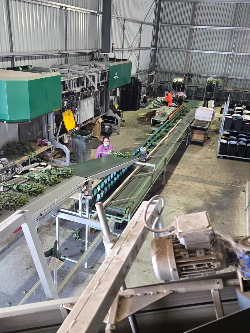 Additional image 9 of 83 Burton Road, Birdwood SA 5234