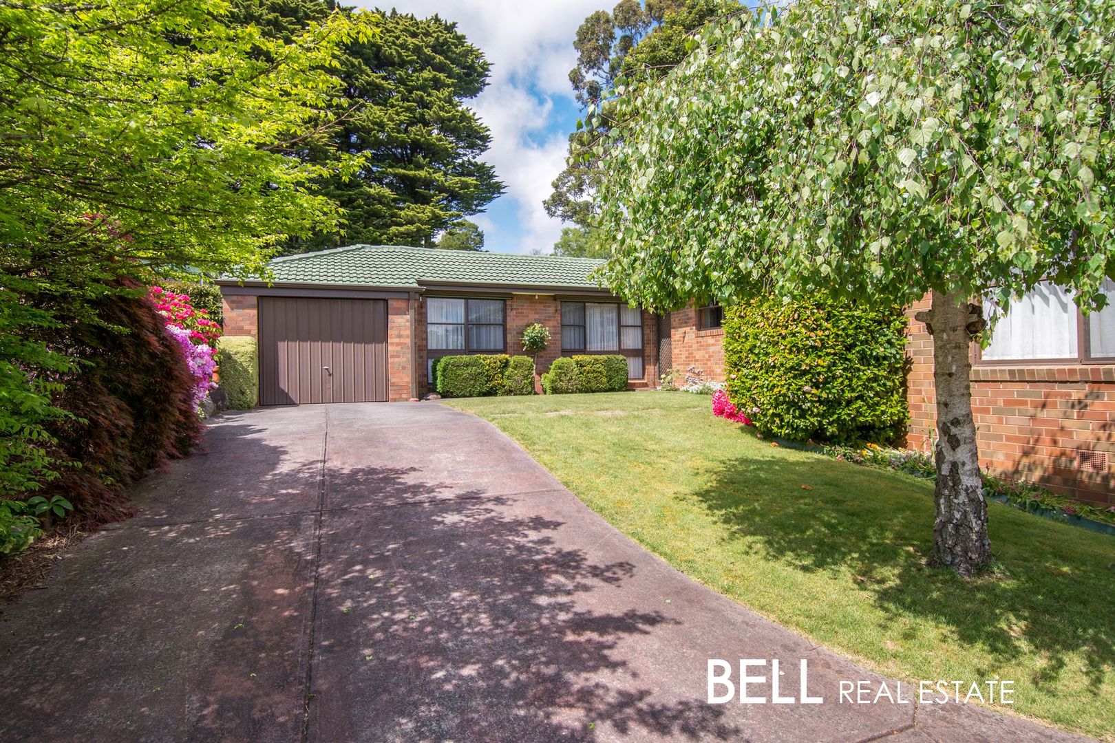 282 Mt Dandenong Tourist Road, Sassafras VIC 3787, Image 1