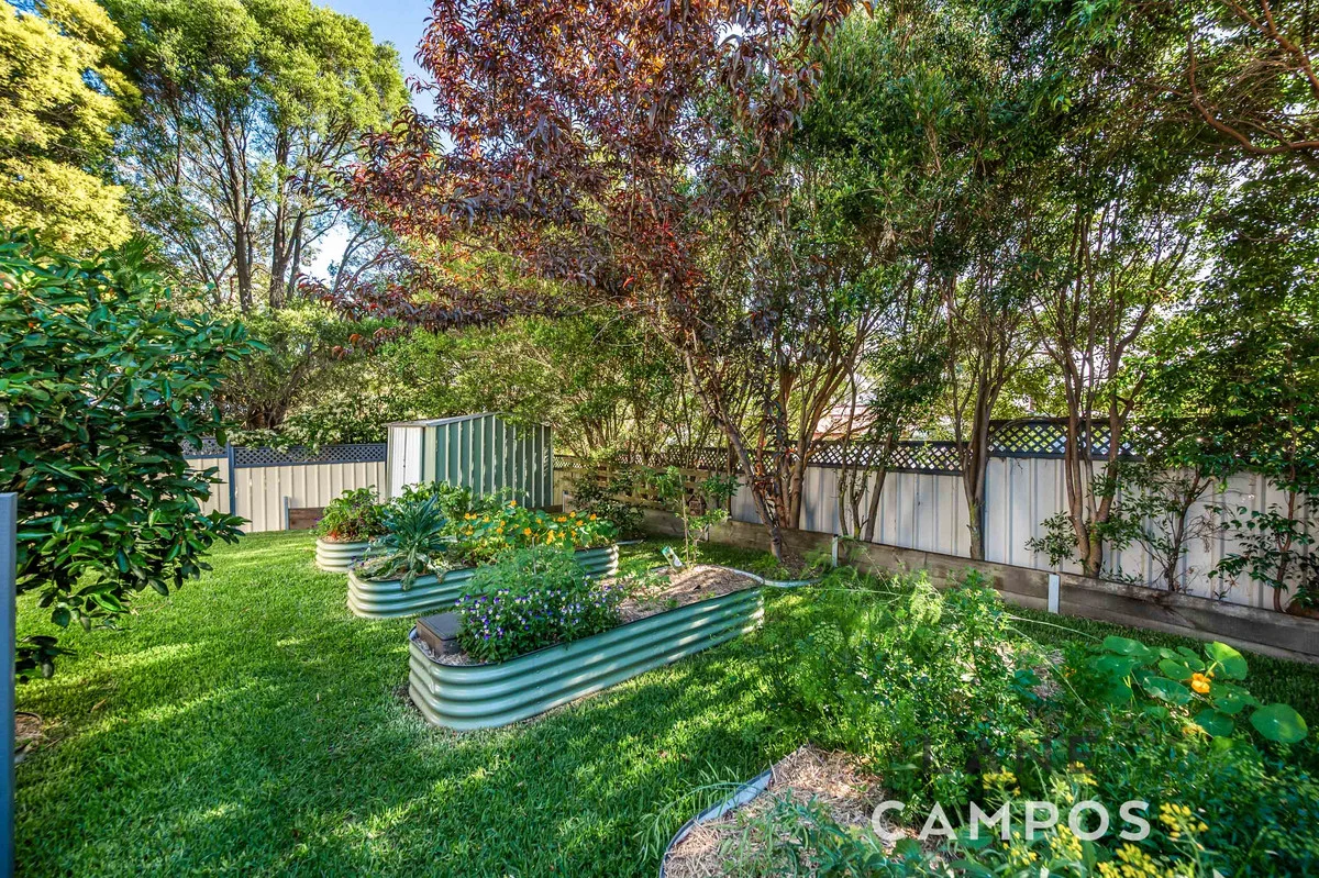 1 Penylan Street, Cardiff NSW 2285 | Domain