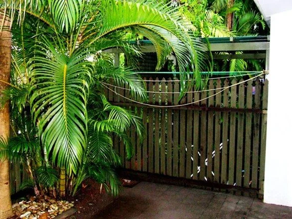 Additional image 2 of 4/13 Undoolya Street, Tiwi NT 0810