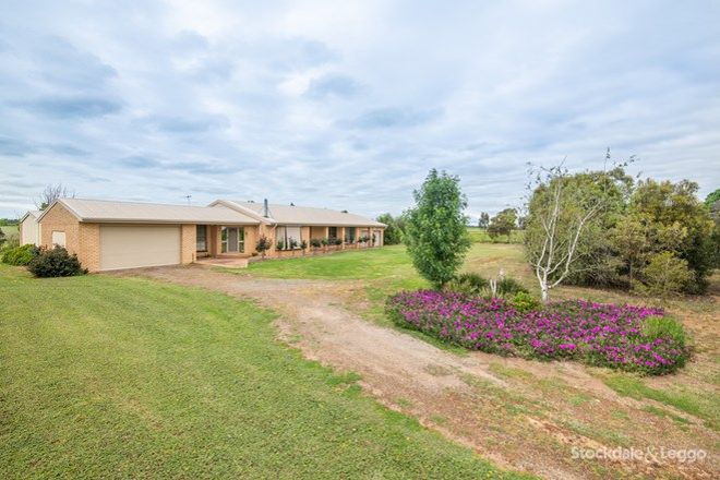 Picture of 1245 Turnbull Road, TOOLAMBA VIC 3614