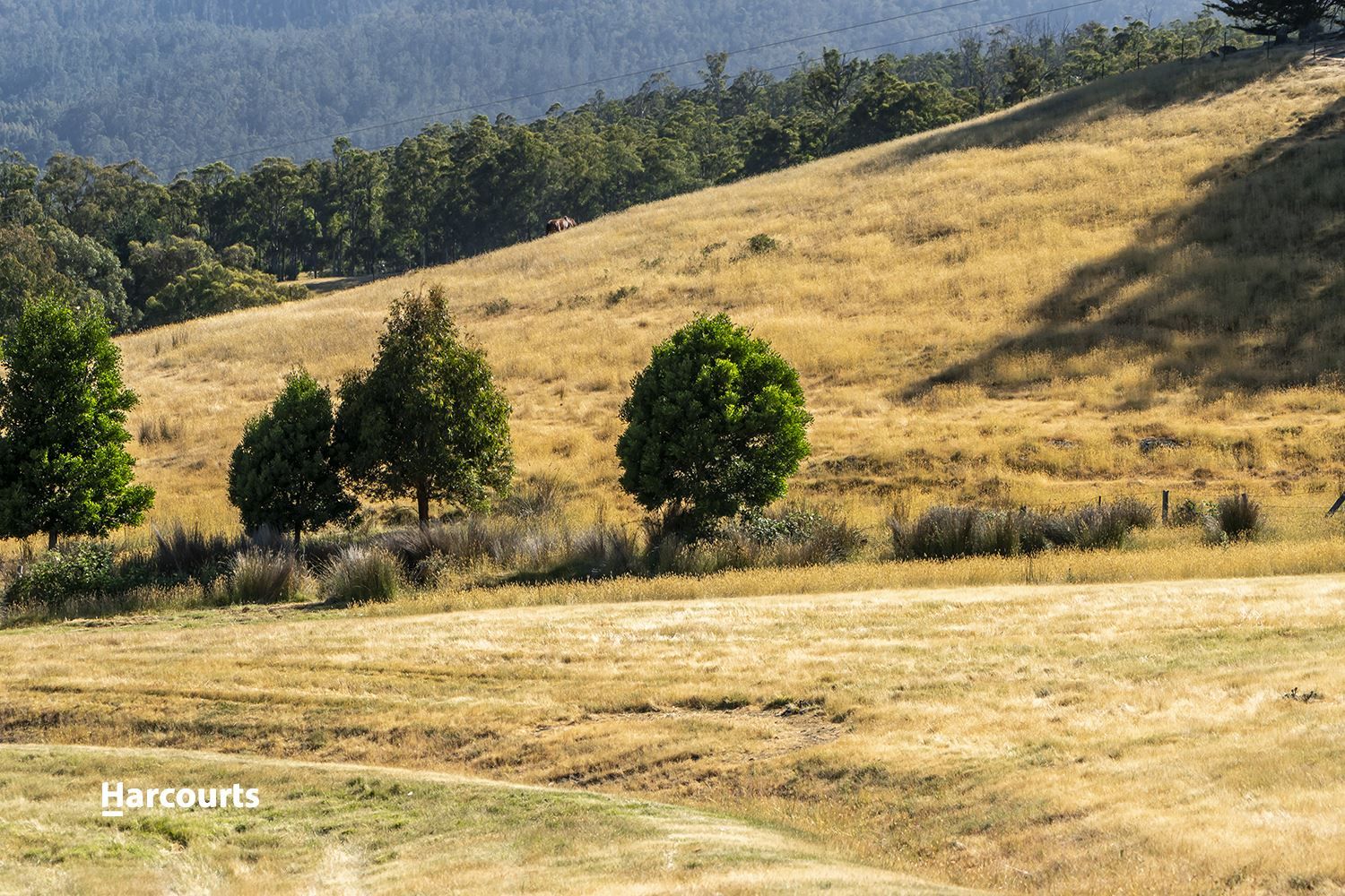 256 Judds Creek Road, Judbury TAS 7109, Image 2