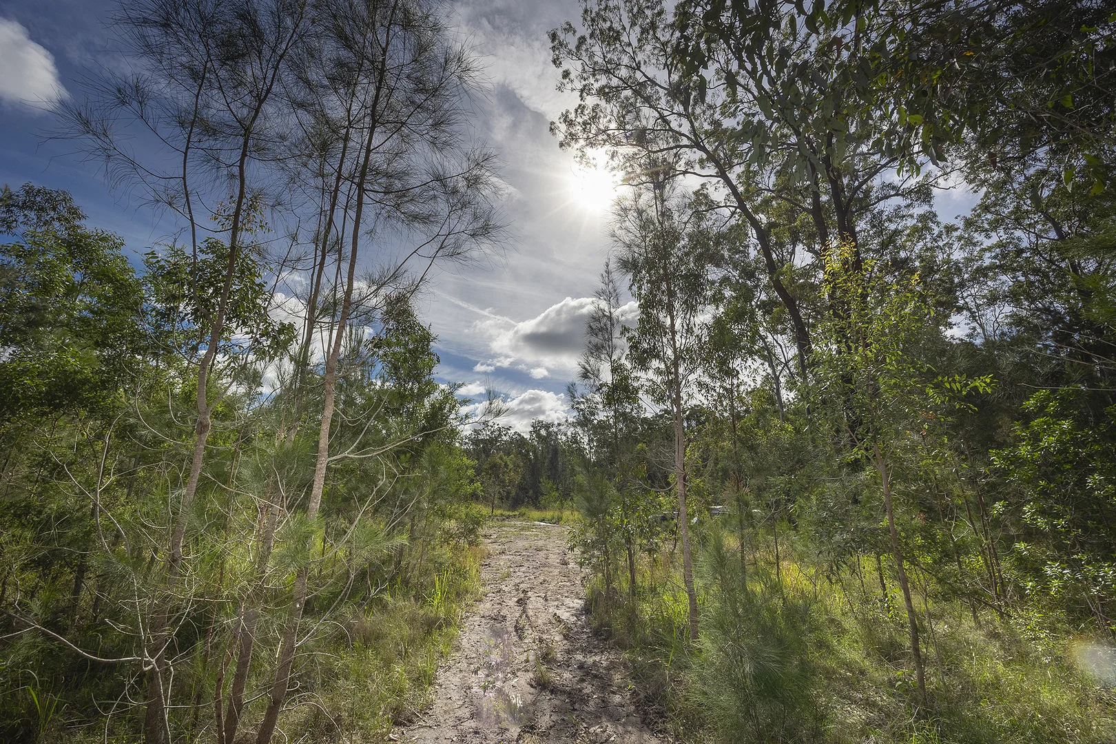 Image 15