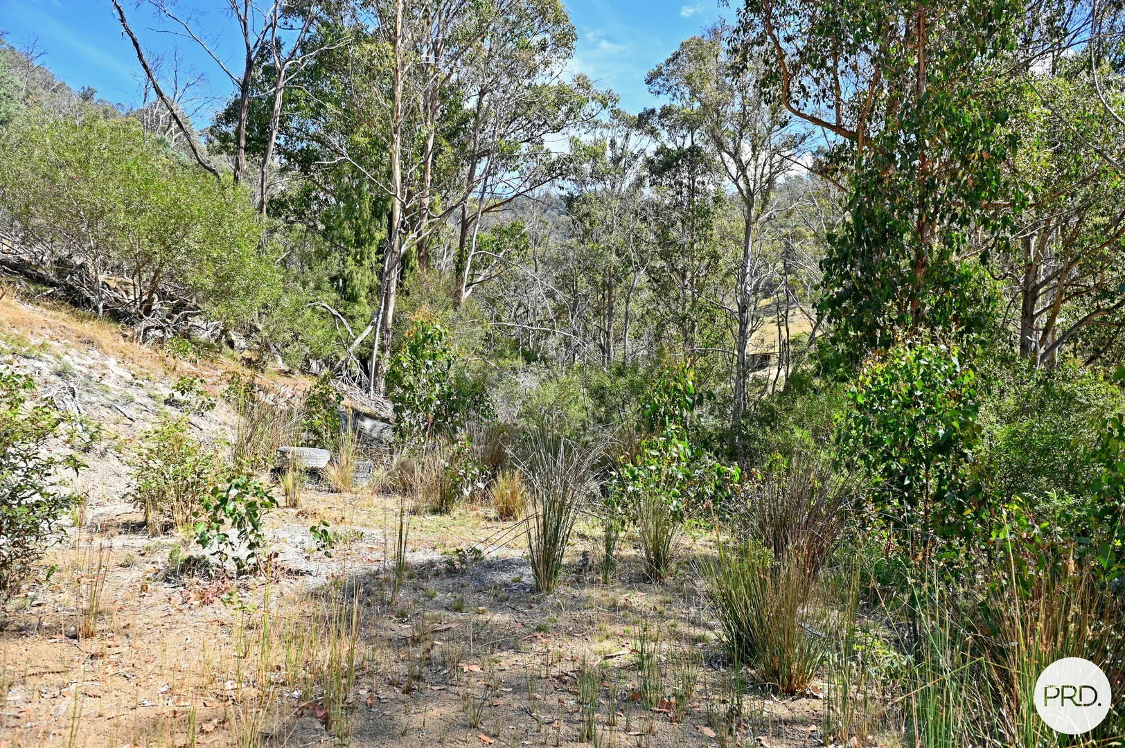 Additional image 12 of 159 Millers Road, Lachlan TAS 7140