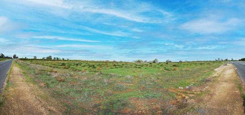 Lot 128 Cox Road, Waikerie SA 5330, Image 2