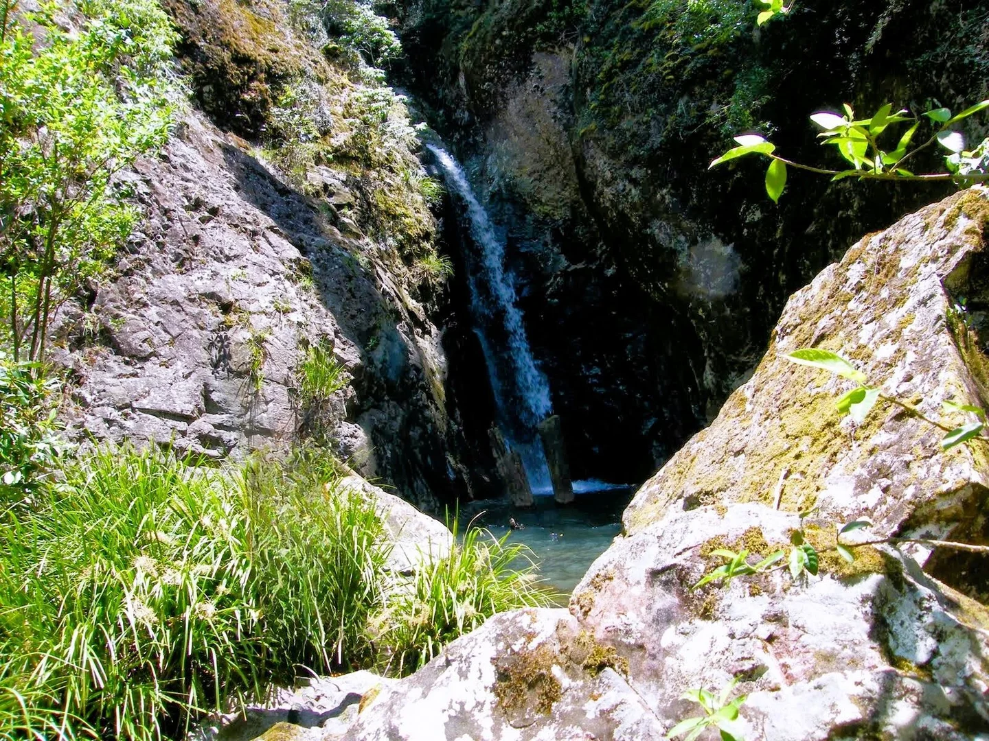 Image 24