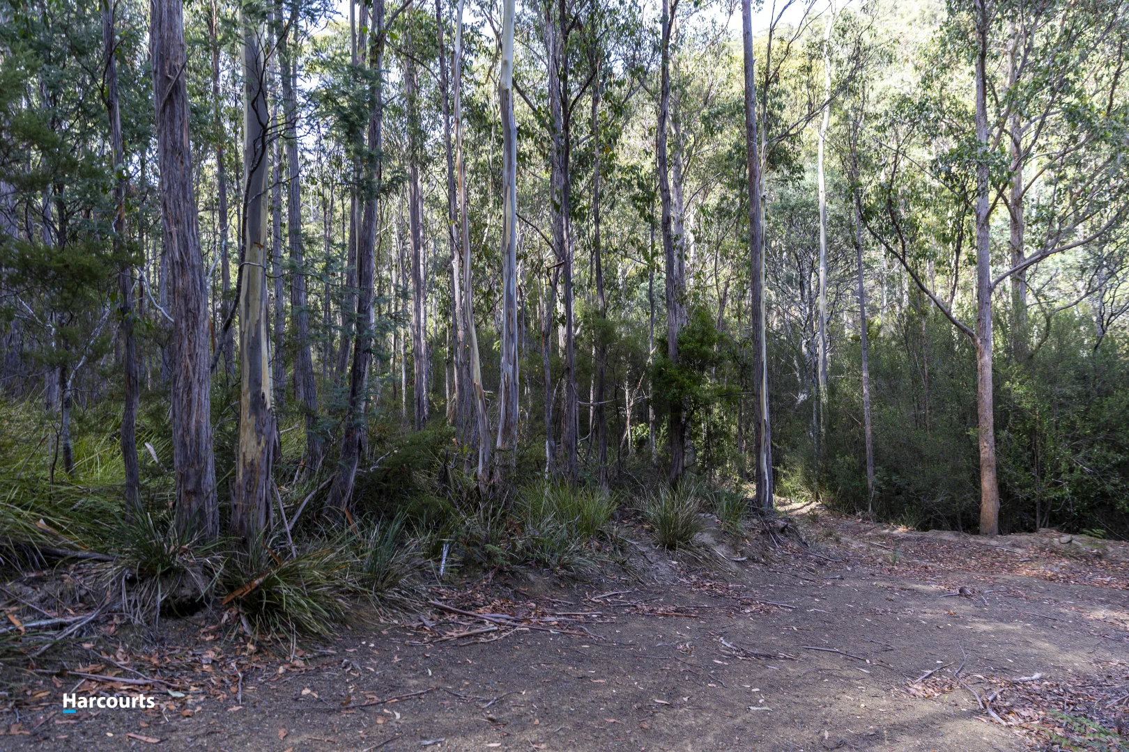 Image 22