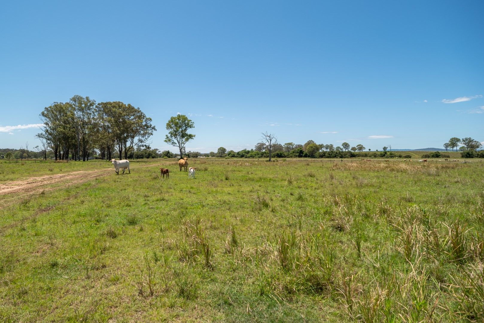 Sold Melton Downs Barnes Road, Allenview QLD 4285 on 29 Nov 2022 ...