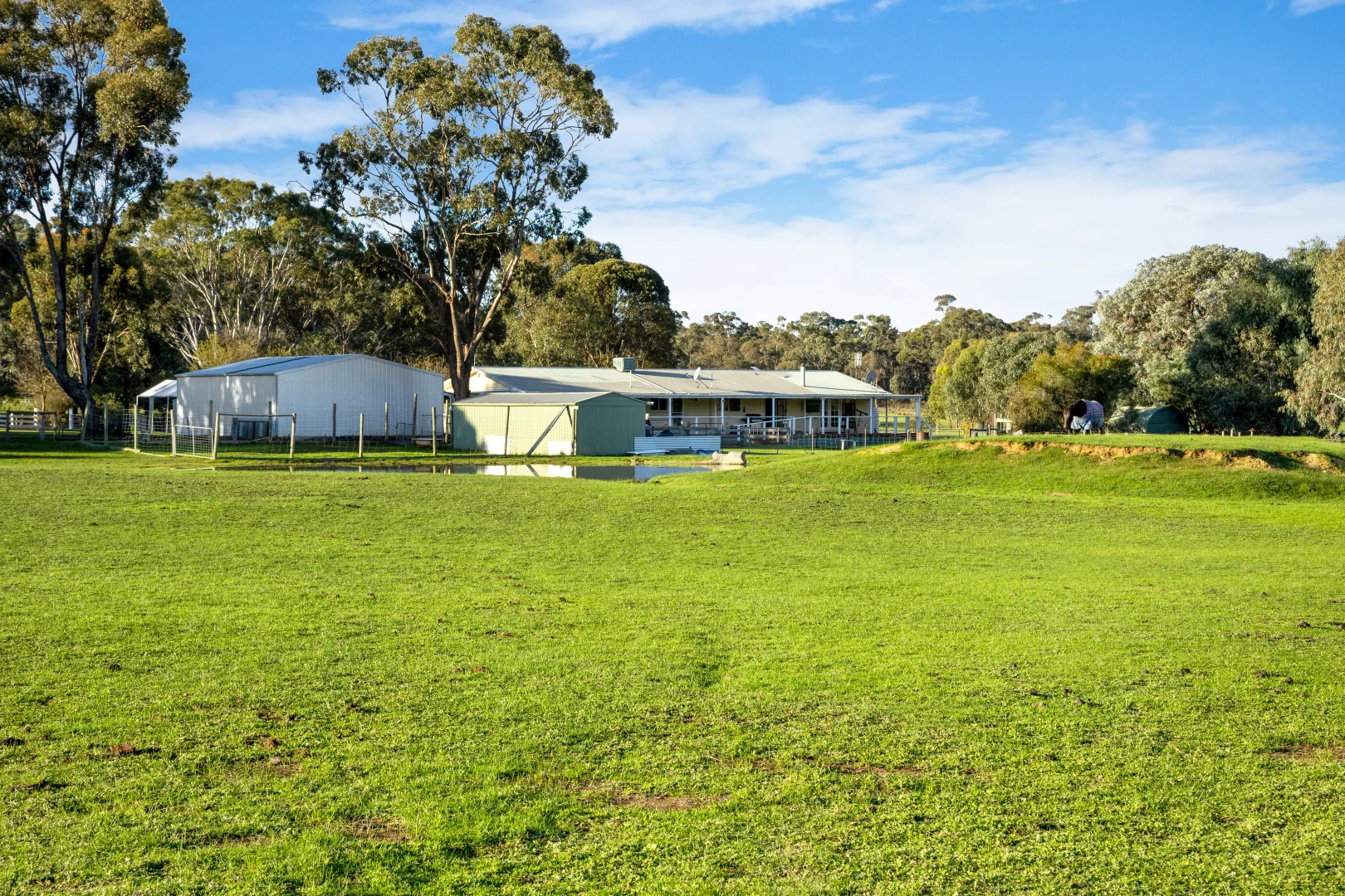 Image 18