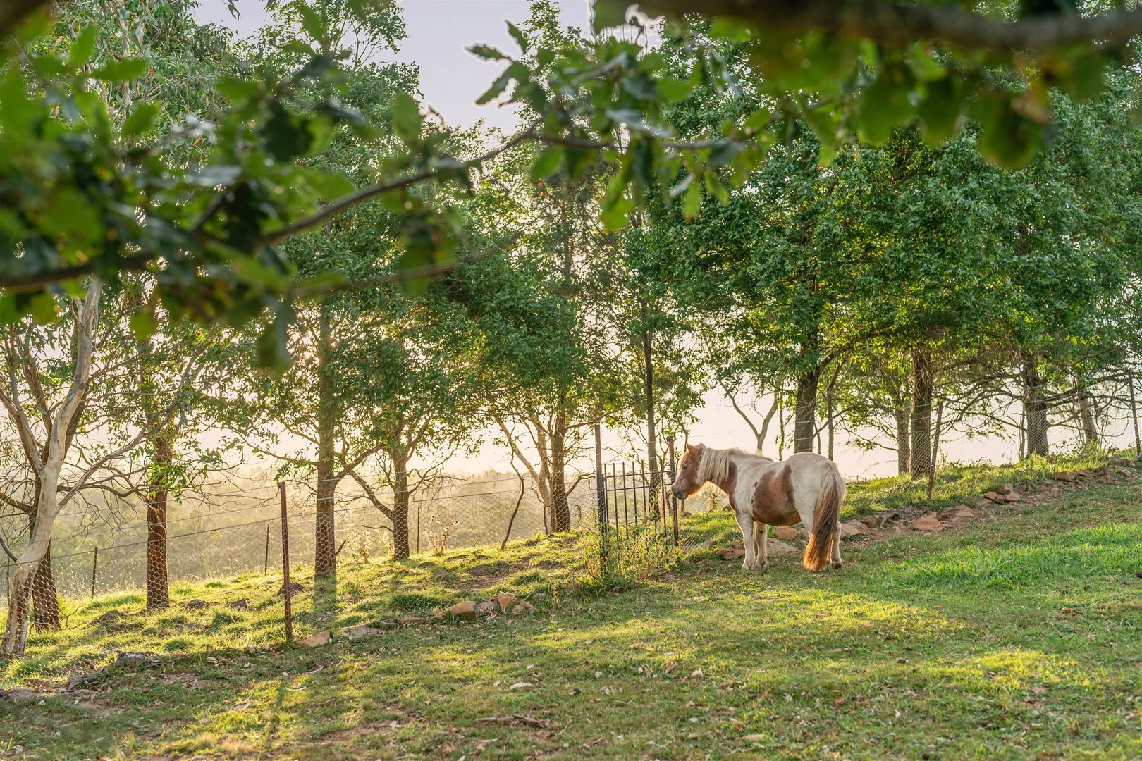 Additional image 34 of 8022 Illawarra Highway, Sutton Forest NSW 2577