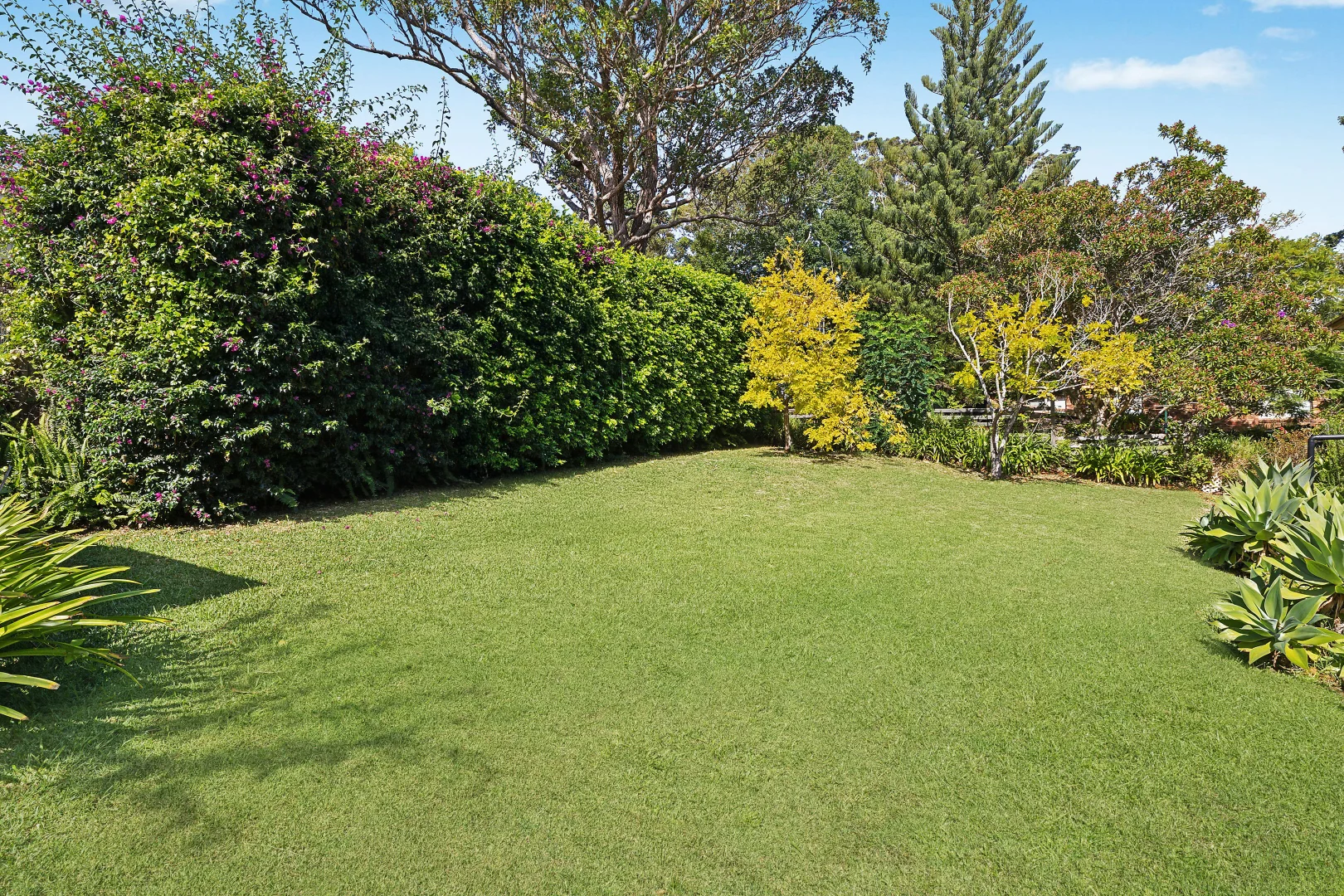 Image 13