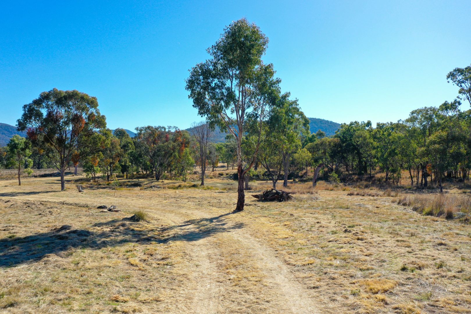 Lot 40 2351 Bruxner Way, Tenterfield NSW 2372, Image 1