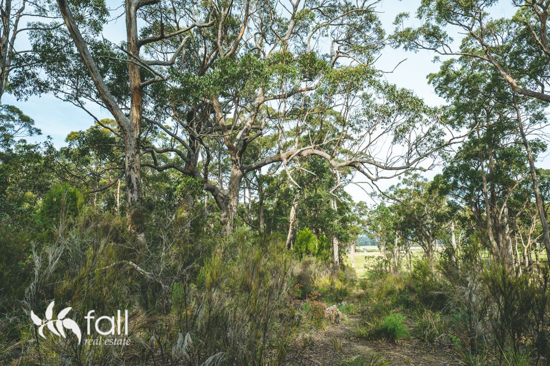 Lot 14/508 Lighthouse Road, South Bruny TAS 7150, Image 2