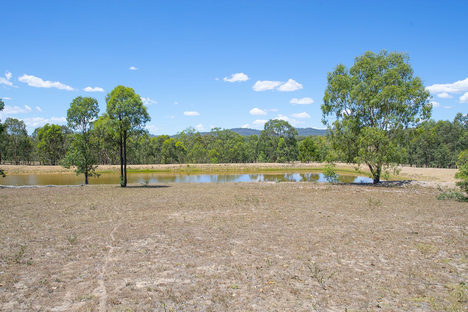 190 Woodland Ridge Road, Muscle Creek NSW 2333, Image 1