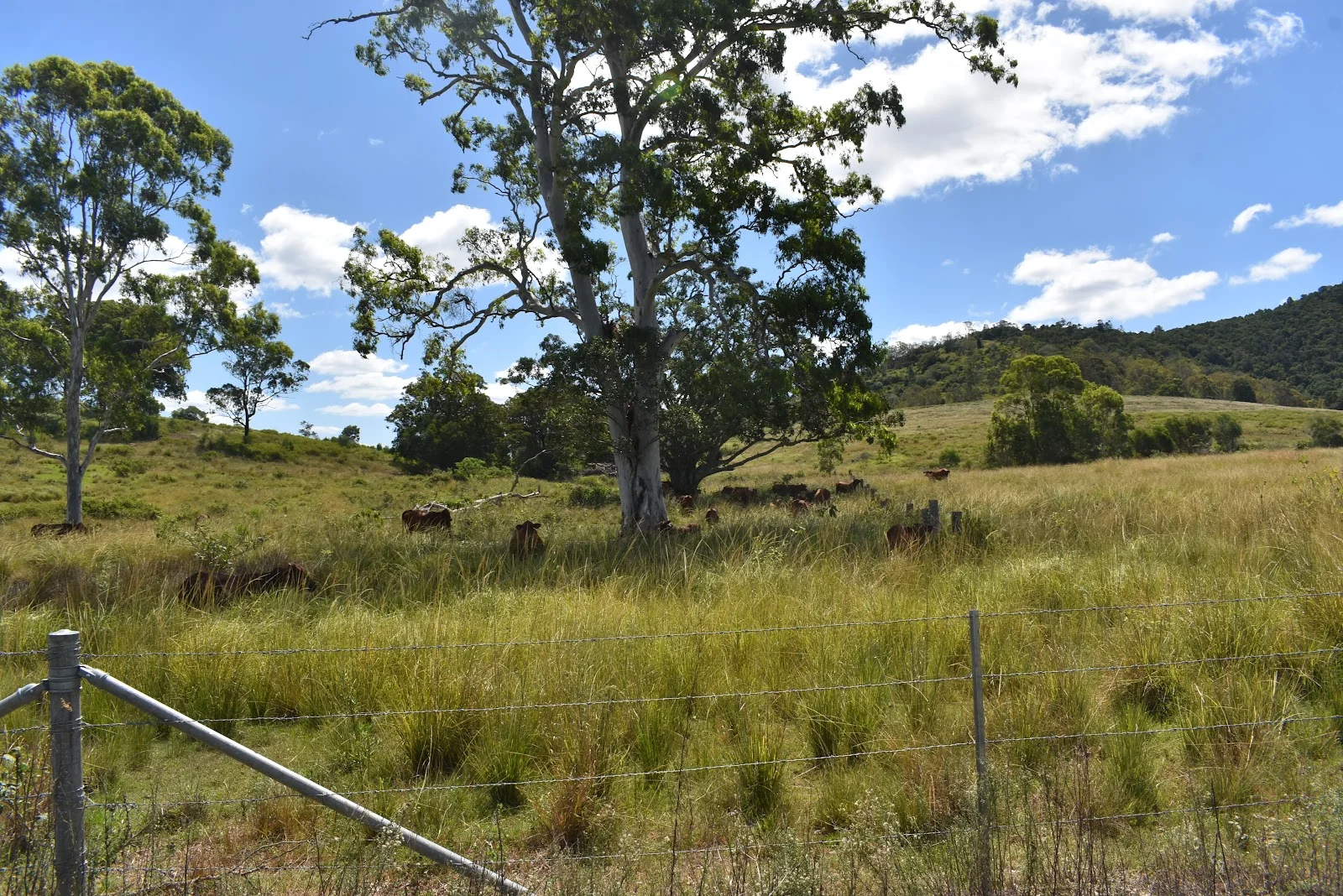 Additional image 9 of 35 Bakers Road, Bauple QLD 4650