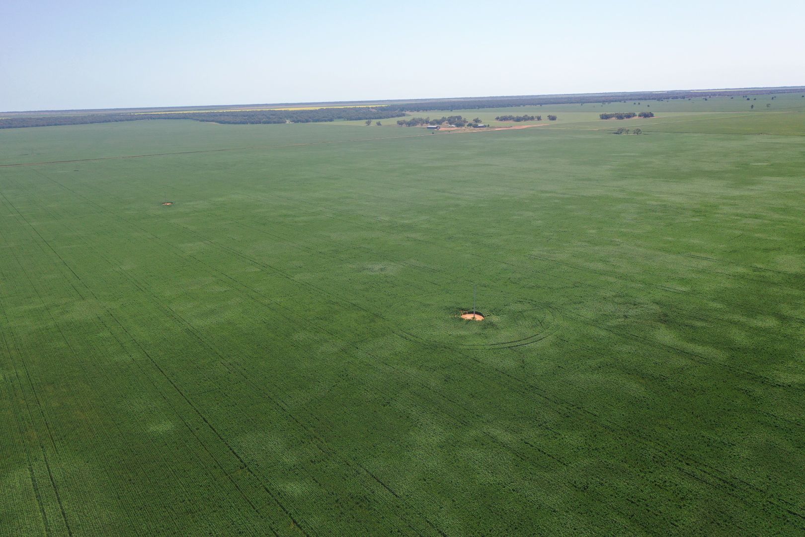 4637 McKinley Road, Hillston NSW 2675 Farm for Sale Domain