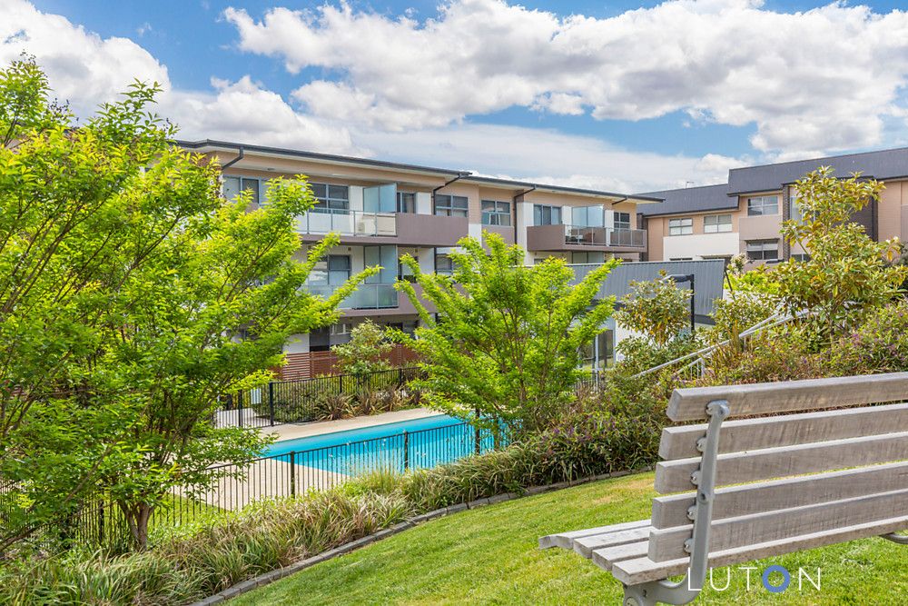 181/15 Mower Place, Phillip ACT 2606