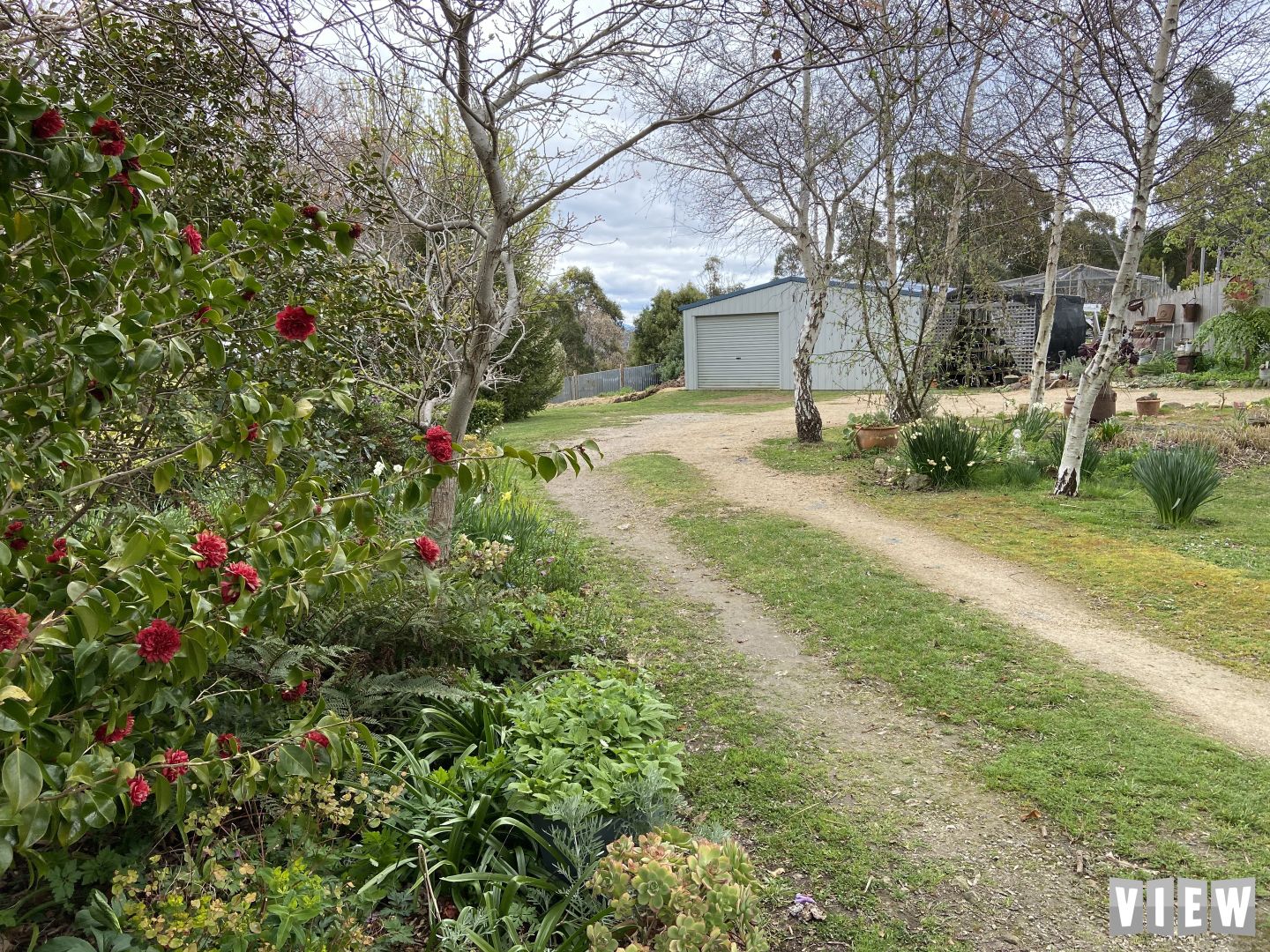 251 Lohreys Road, St Marys TAS 7215, Image 2