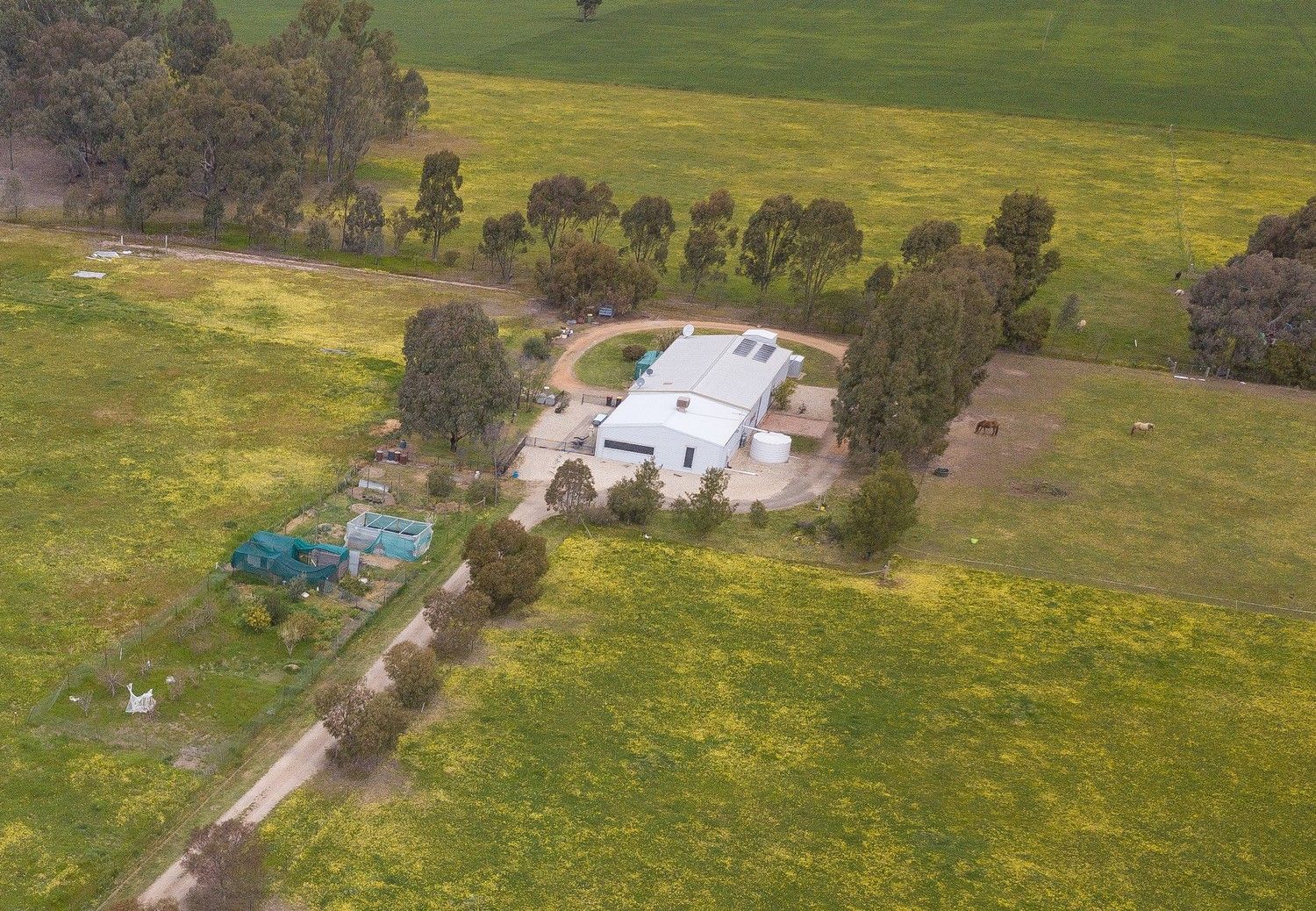 191 Colvin Road, Boorhaman North VIC 3685, Image 0