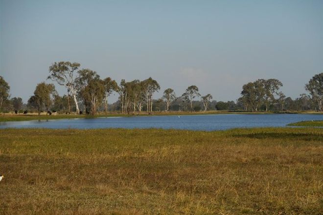 Picture of Lot 241 Titman Road, FAIRY BOWER QLD 4700