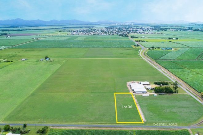 Picture of Lot 36 Casswell Road, GLEN ISLA QLD 4800