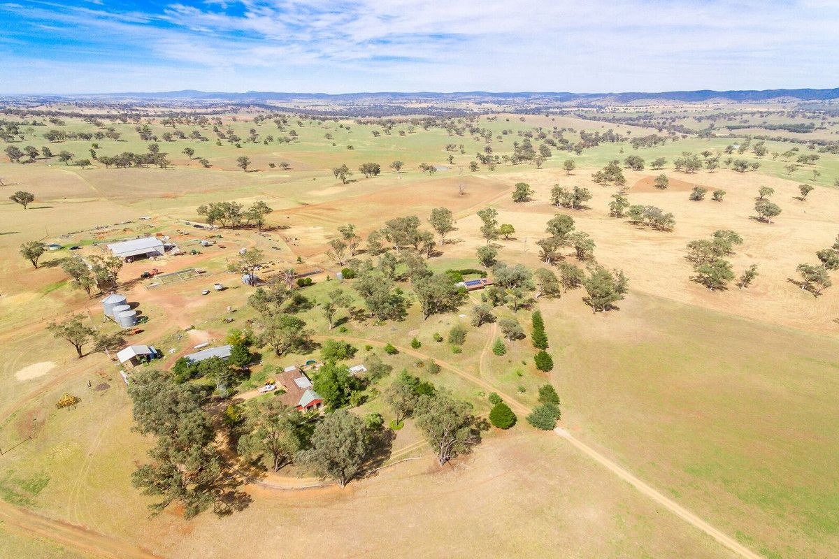 1487 Packham Drive, Molong NSW 2866 House for Sale Domain