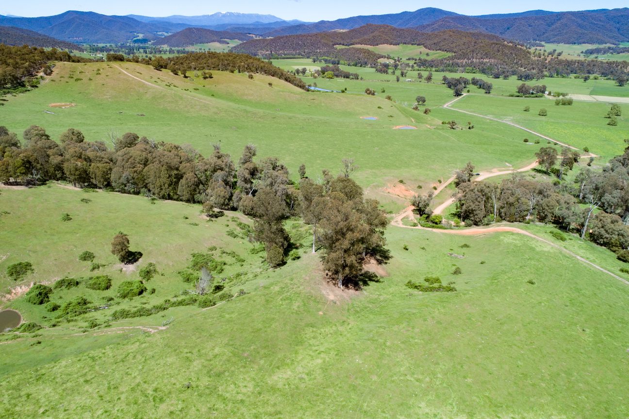 Lot 1 & 2 Bullhead Road, Mitta Mitta VIC 3701, Image 0