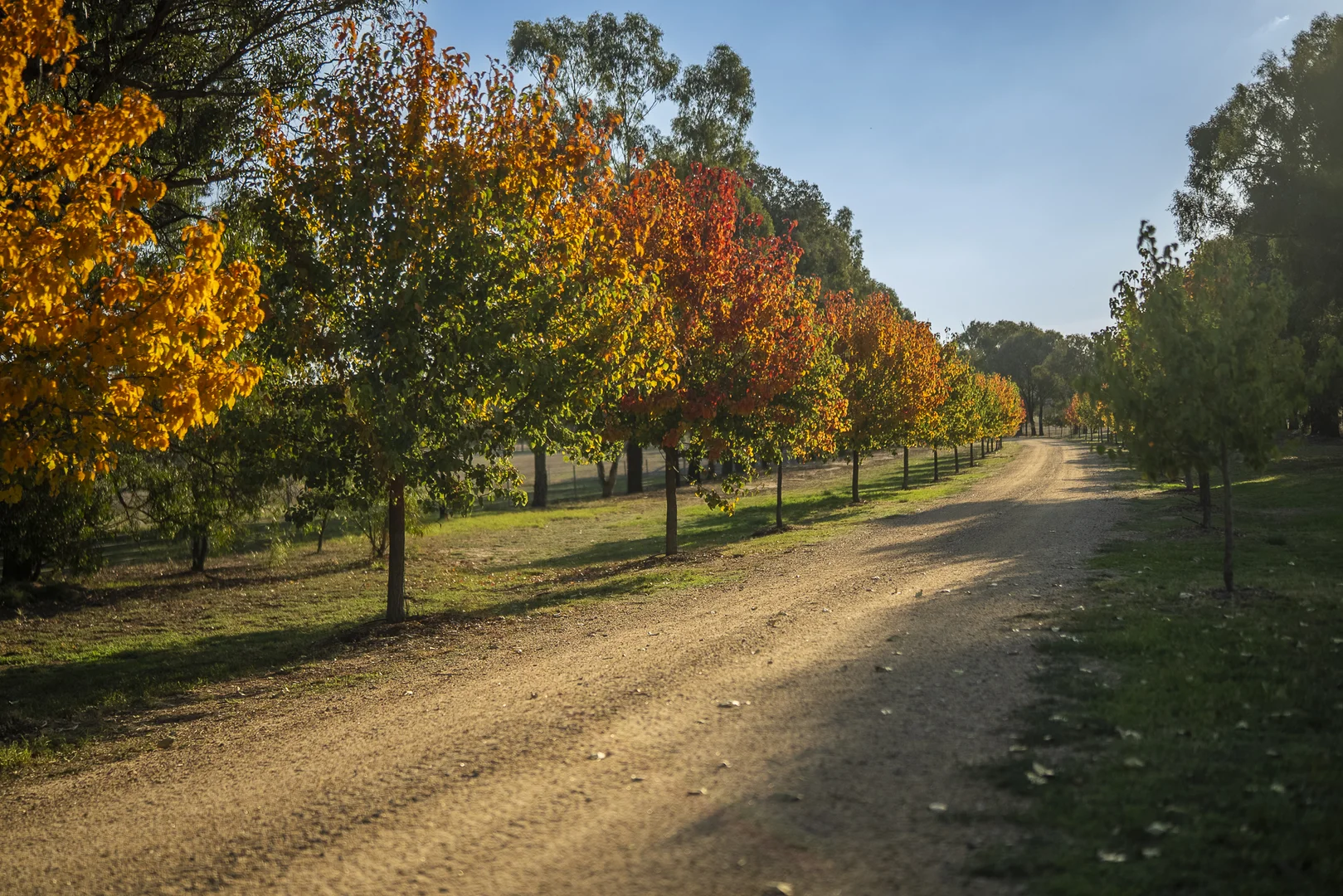 Additional image 20 of 610 Ulupna Bridge Road, Ulupna VIC 3641