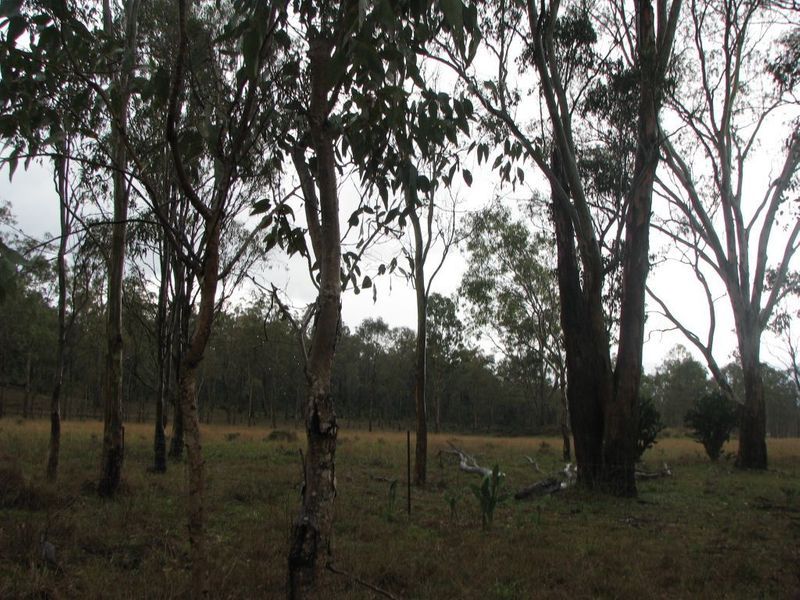 Lot 1 Ahern Lane, Pratten QLD 4370, Image 1