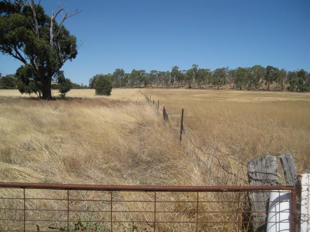 CA 11/Sec B Woosang Cnr Turnbulls Road And Calder Highway, Wedderburn VIC 3518, Image 0