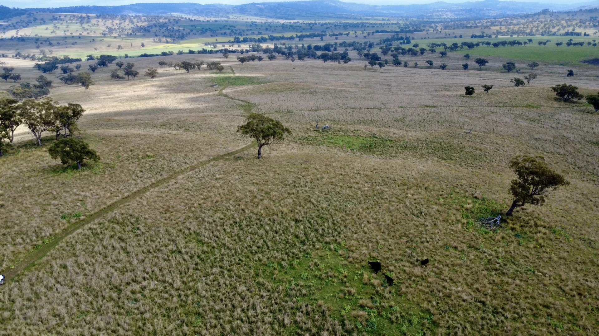 Additional image 6 of "Gummun" Coulsons Creek Road, Merriwa NSW 2329