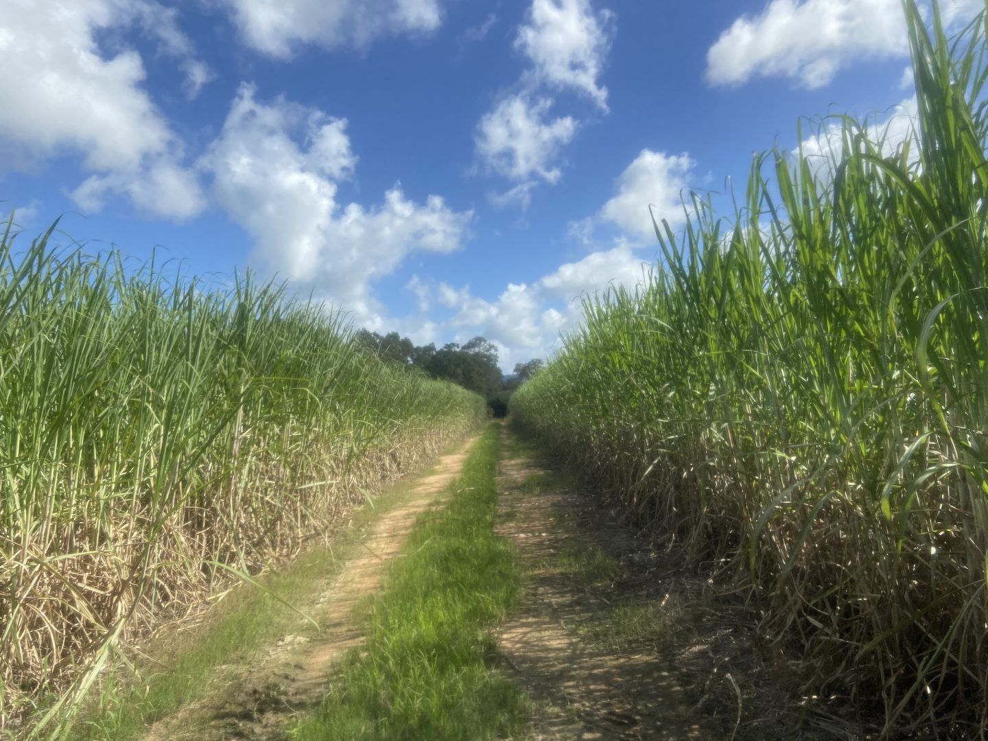 Koumala QLD 4738, Image 1