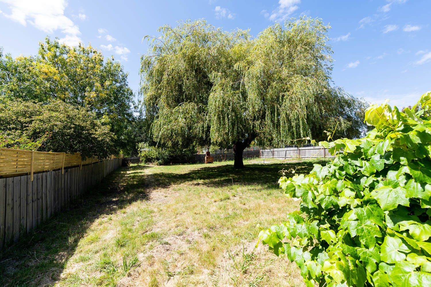 Lot Lot 2/25 Vaux Street, West Launceston TAS 7250, Image 2