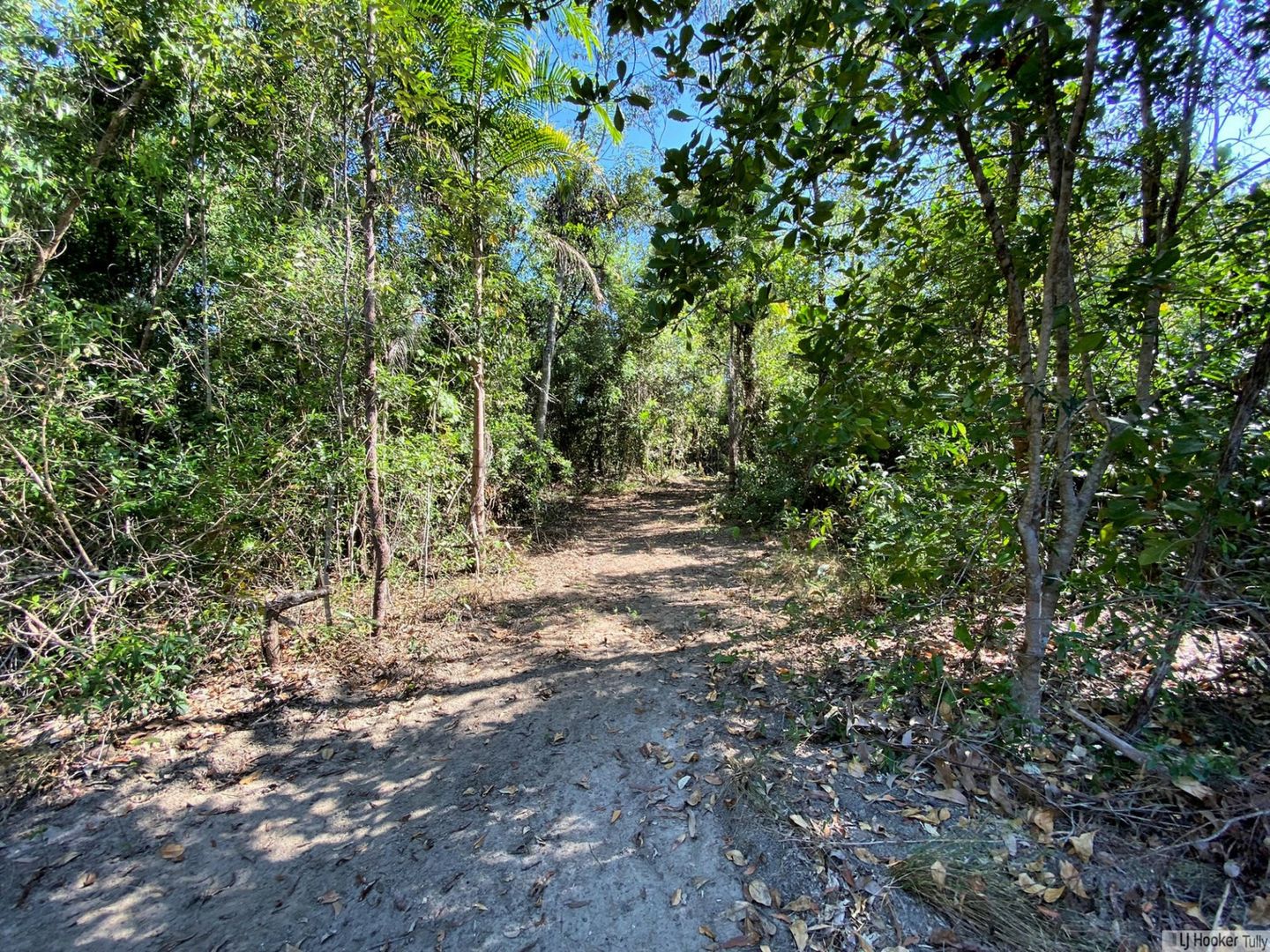 LOT 2 Williams Avenue, Cardwell QLD 4849 Domain