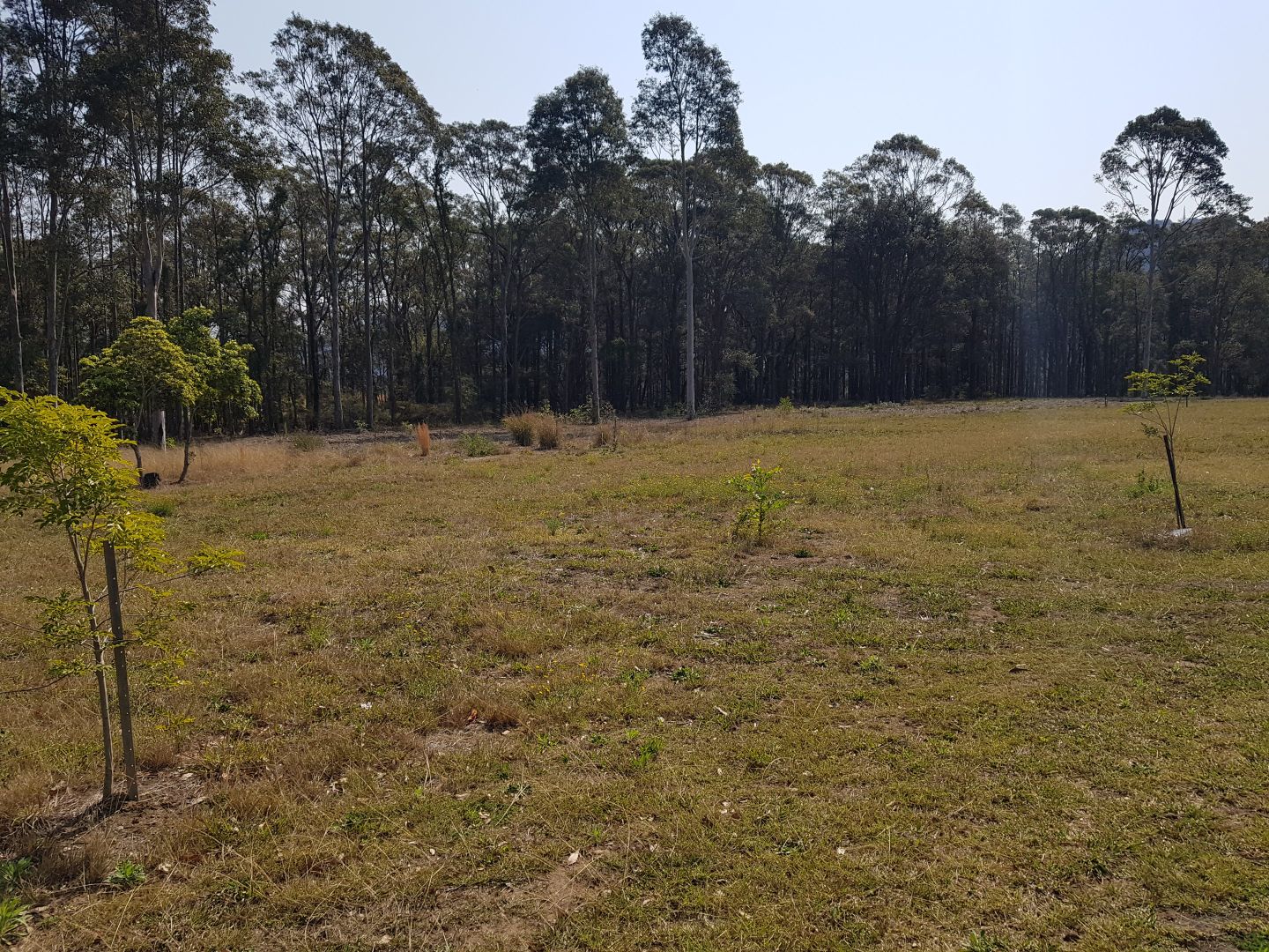 Gladioli Vista, Bomaderry NSW 2541, Image 2