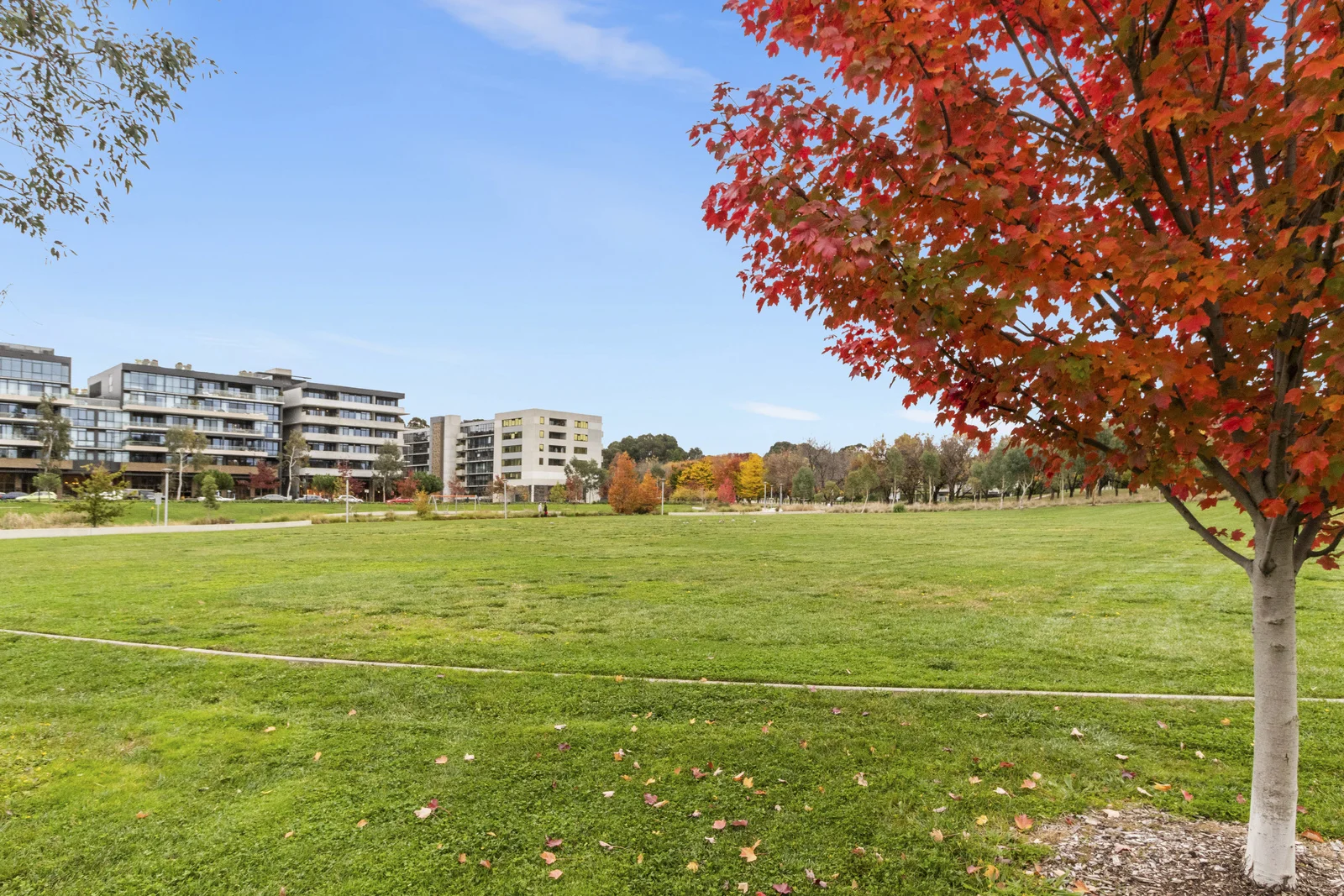 Additional image 23 of 325/2 Anzac Park, Campbell ACT 2612